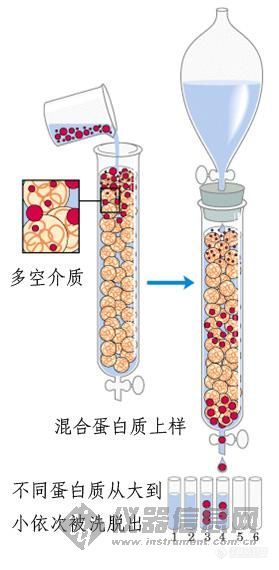 filtration chromatography 凝胶过滤层析也称分子筛层析