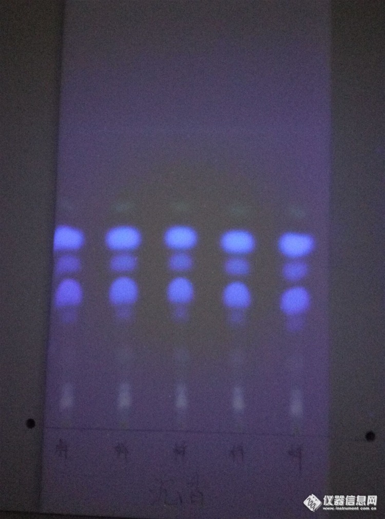 求几张色谱图,最好是在紫外灯照射下的,重谢_薄层色谱(tlc)仪器社区
