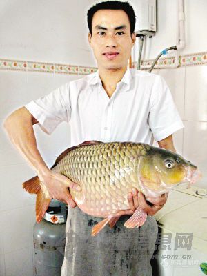 【转帖】广东男子一竿钓起16斤重鲤鱼