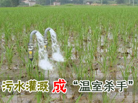 【转帖】污水灌溉稻田会加剧温室效应？
