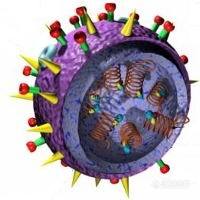 【分享】顶级科学期刊抢时间发表H1N1流感相关研究