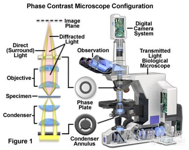 【资料】相差显微镜原理、显微镜安装调试与使用仪器信息网社区 7584