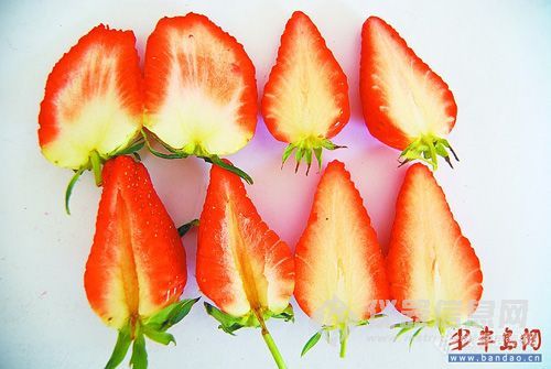 【讨论】如何鉴别激素草莓？