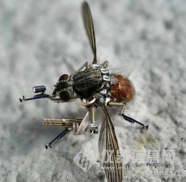 美科学家研发昆虫飞行器 翅膀震动便可自行发电