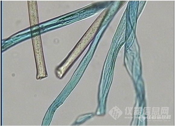 【原创】+【草根比对】：昌邑市质检所纺织品纤维含量分析
