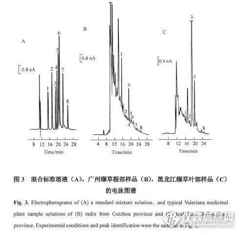 文献检索任务二零六（206.1-206.10）