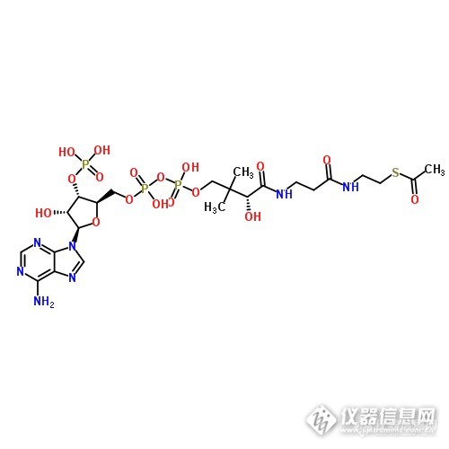 乙酰辅酶a化学式图片