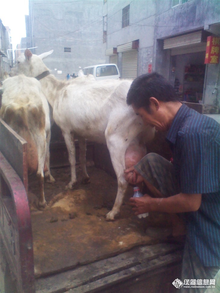 如此鲜羊奶，怎么样？