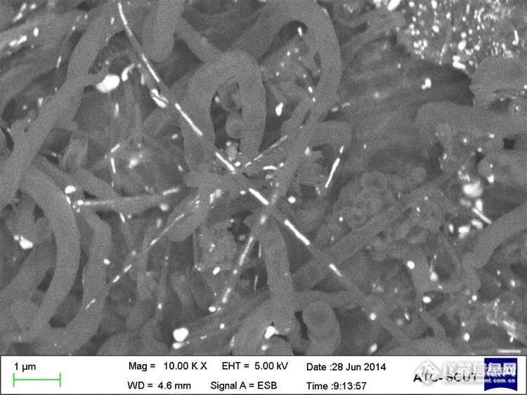 包覆纳米金属颗粒的中空碳纳米管