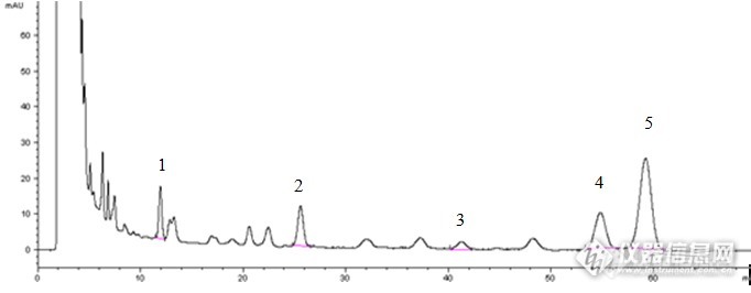 【原创大赛】HPLC法测定女贞叶中5种三萜类化学成分的含量