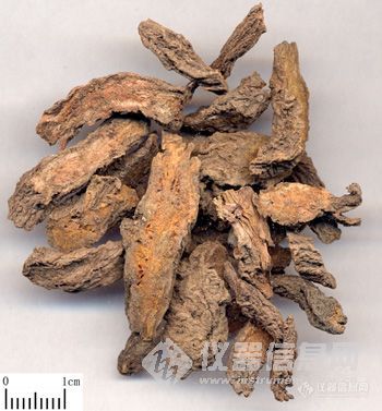 药品检验版块有奖参与活动之看图猜中药(第十七期,答案已公布)