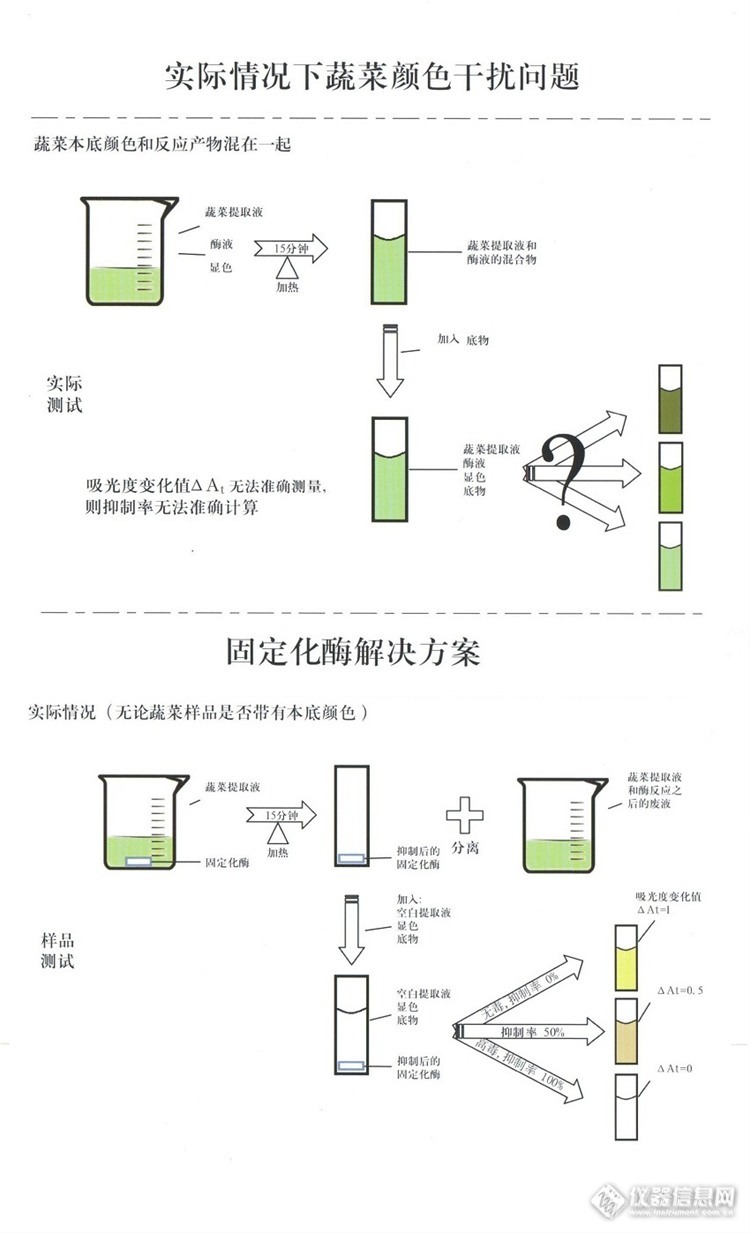 从韭菜的速测假阳性探讨农残速测行业性难题的解决之道