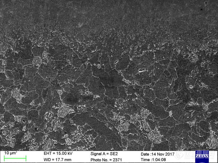 低碳钢组织SEM图求助