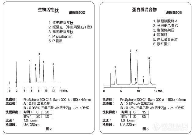 胰岛素  蛋白等生物大分子