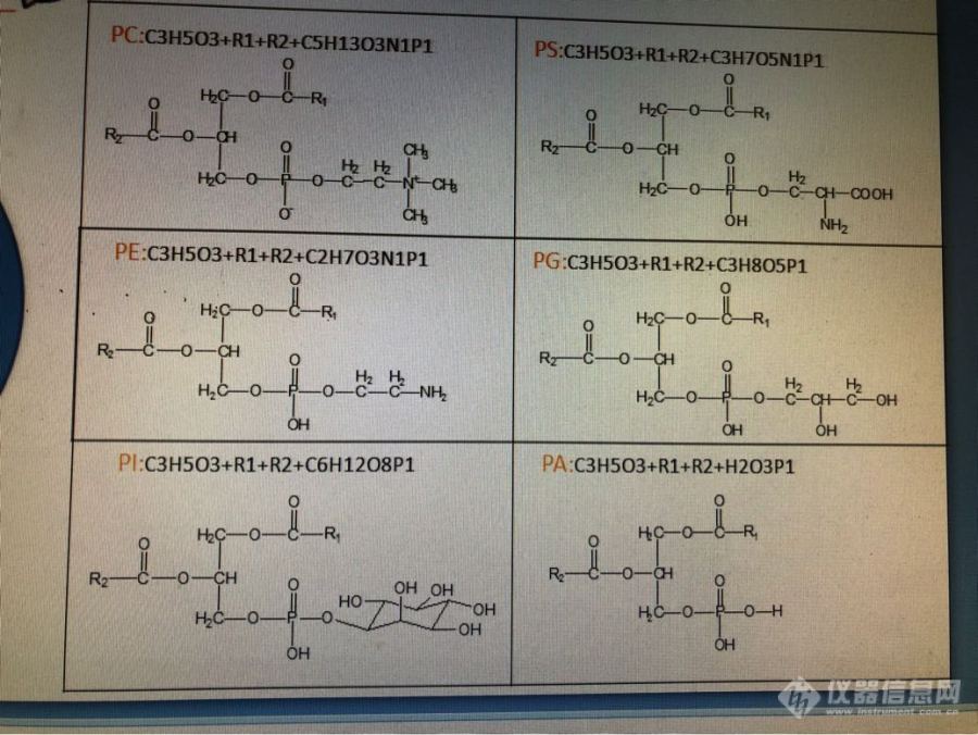 磷脂的质谱裂解规律是怎样的呢