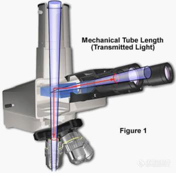 光学显微镜名词解释之——机械筒长