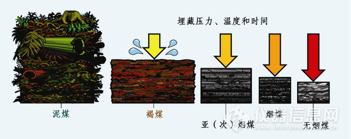 煤的形成过程图片