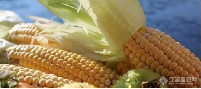 七月季多吃点玉米健康又美味-玉米的营养与功效