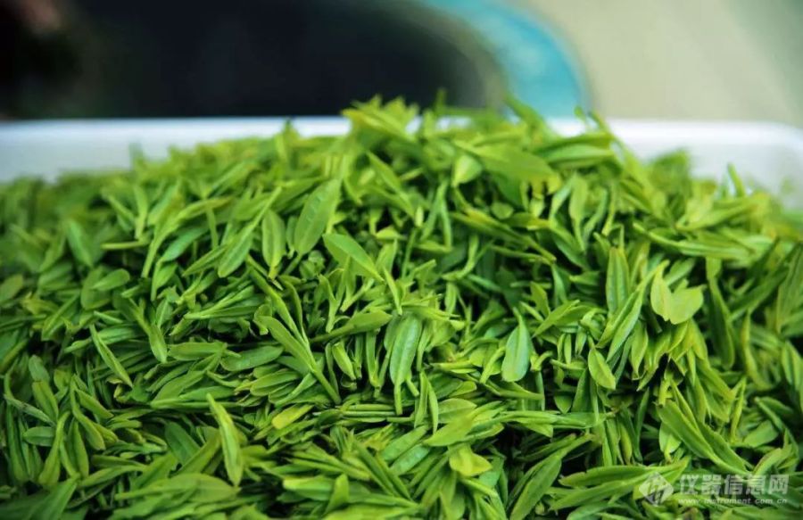 你喝的绿茶中含有黄曲霉吗？还不来看看！