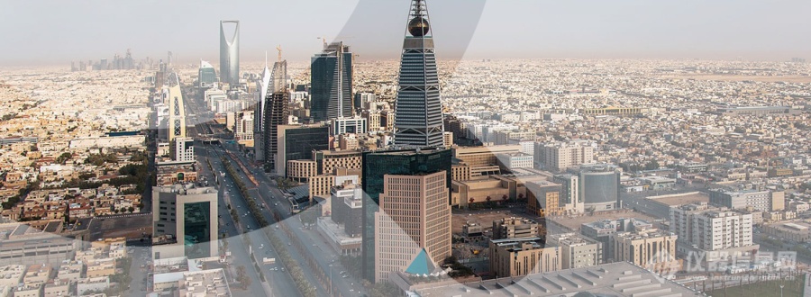 在线课程：沙特阿拉伯产品安全计划（SALEEM 计划）的实施概况