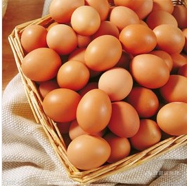 鸡蛋的营养价值和蛋壳颜色的关系