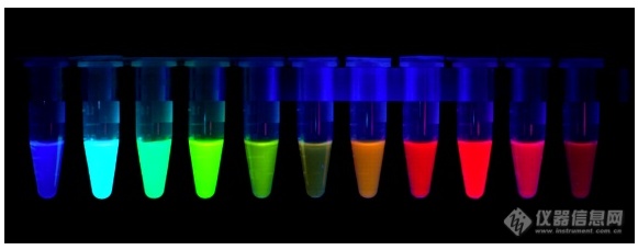 活体光学成像技术专栏| 活体成像中荧光蛋白的挑选指南