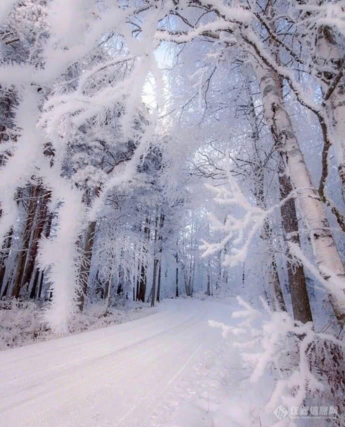 北欧芬兰雪景（五）！