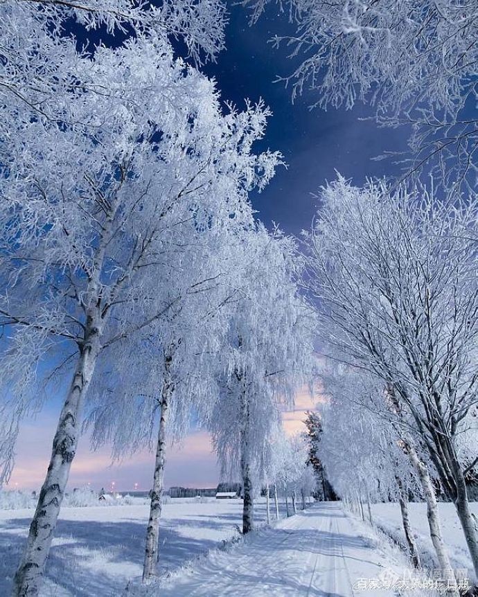 北欧芬兰雪景（十）！