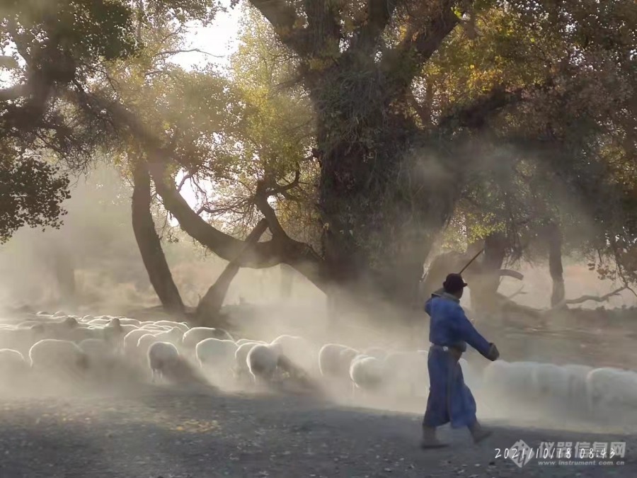 请欣赏内蒙古额济纳旗胡杨林10