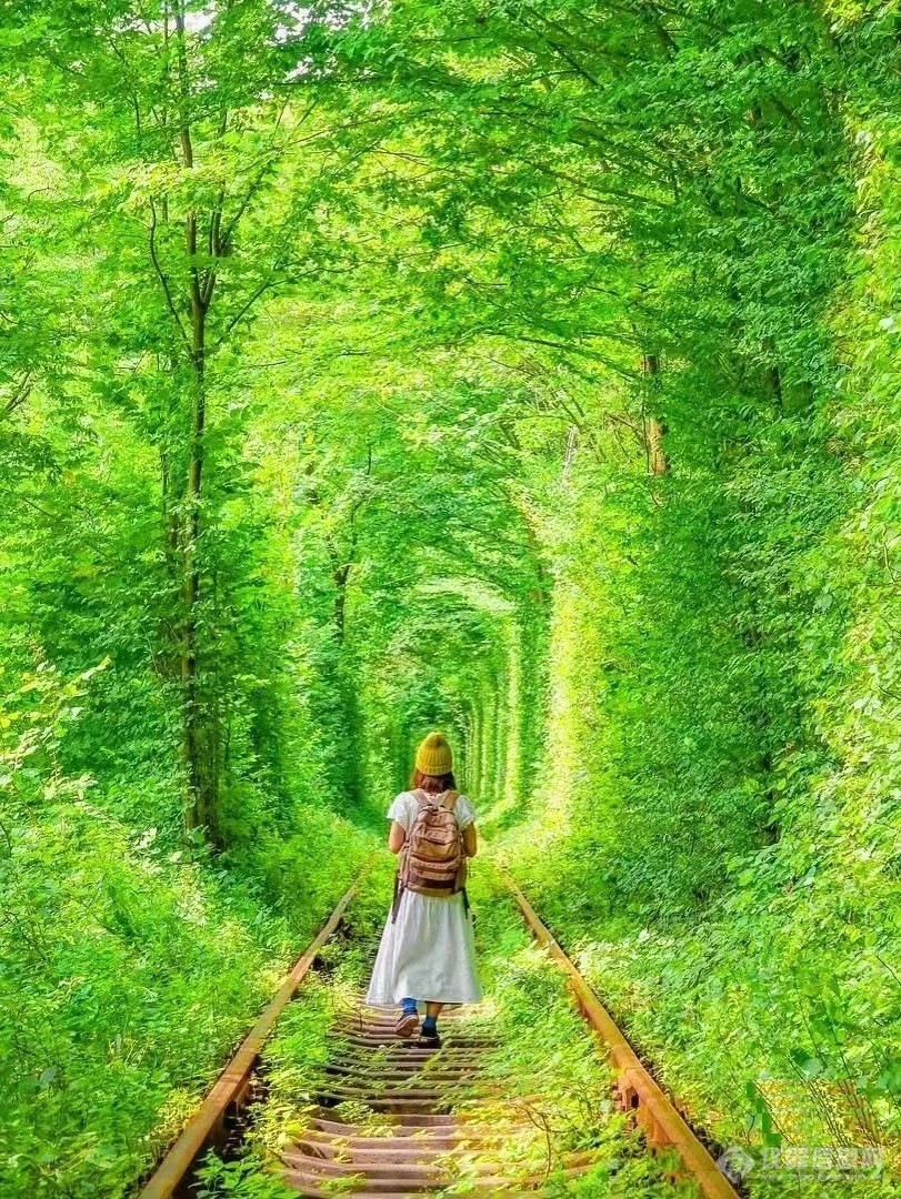 一起欣赏乌克兰著名景点“爱的隧道”2