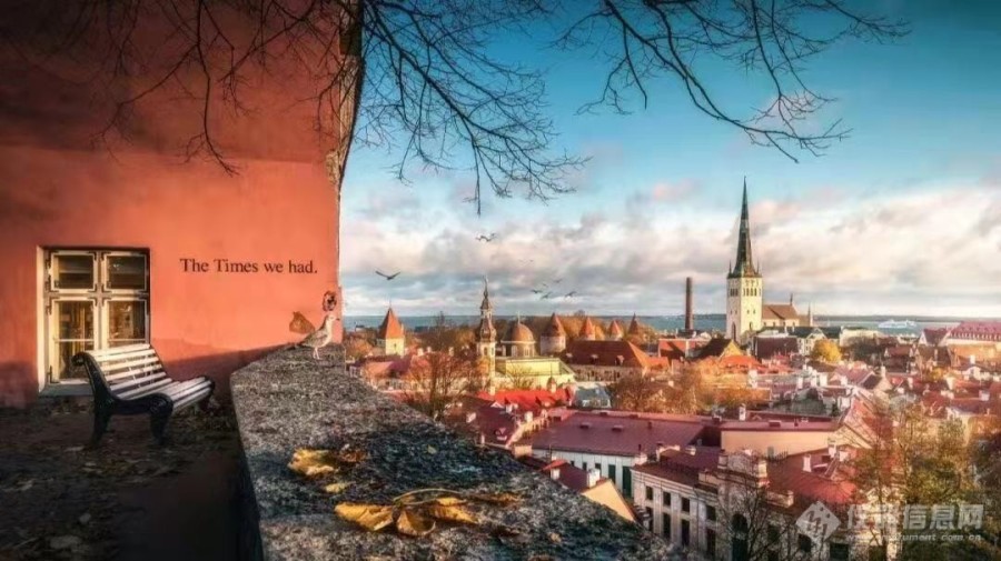 一起欣赏爱沙尼亚首都塔林3