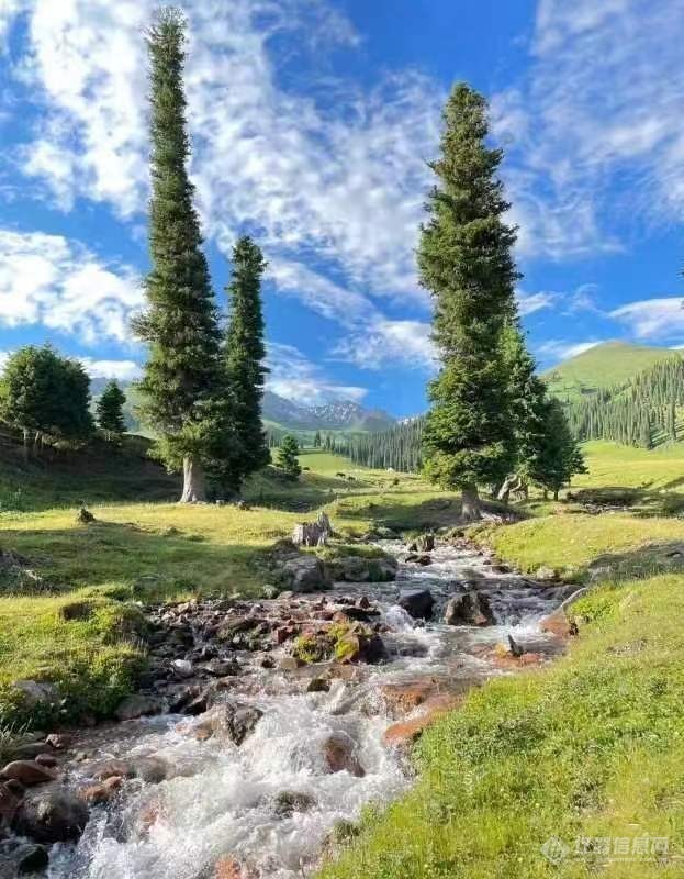 一起欣赏新疆那拉提风景2