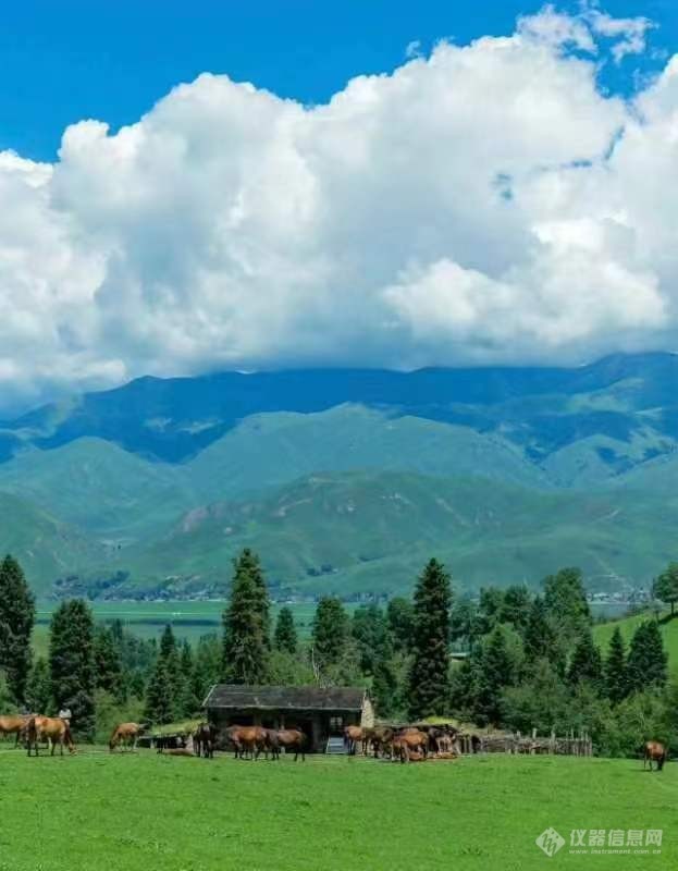 一起欣赏新疆那拉提风景5