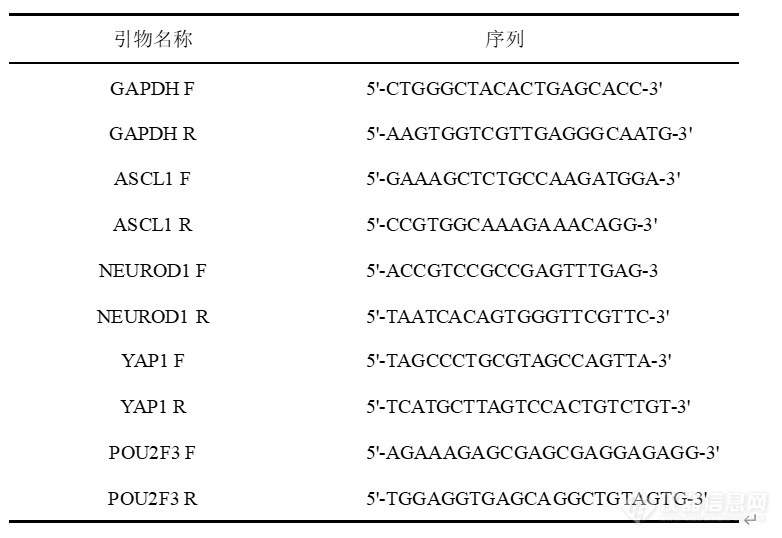 实时荧光定量PCR（RT-PCR）及细胞增殖实验操作