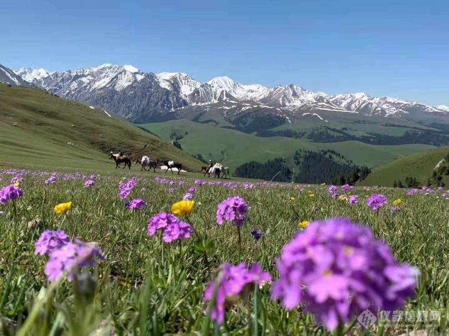 高山仰止，景行行止。虽不能至，心向往之。10