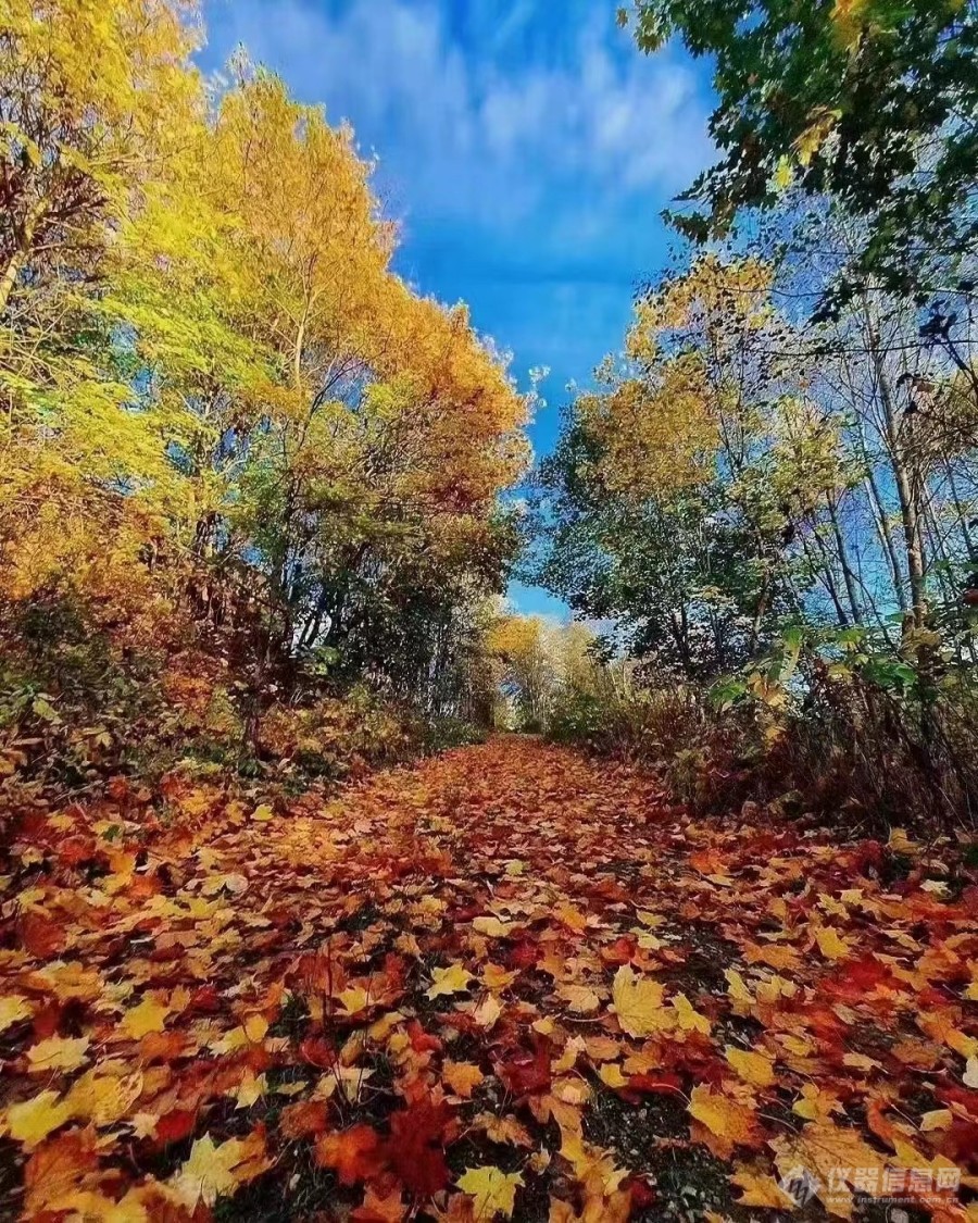 一起欣赏北欧美景6