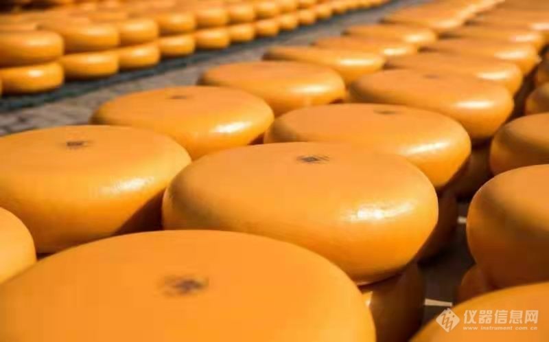 一起欣赏荷兰阿克马（Alkmaar）奶酪市场6