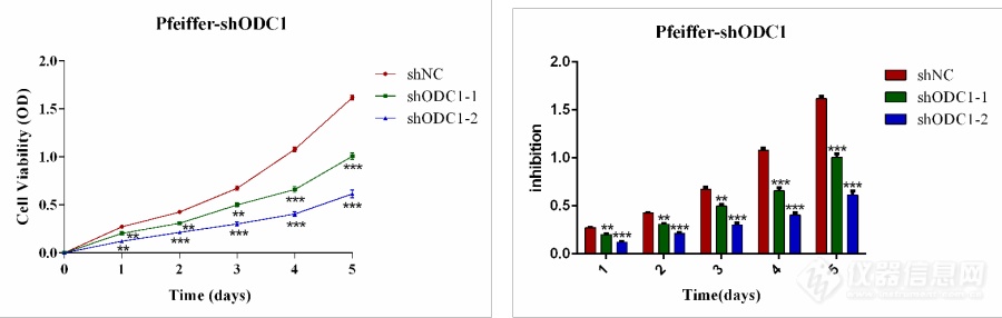 敲低ODC1对DLBCL细胞增殖、周期、凋亡的影响