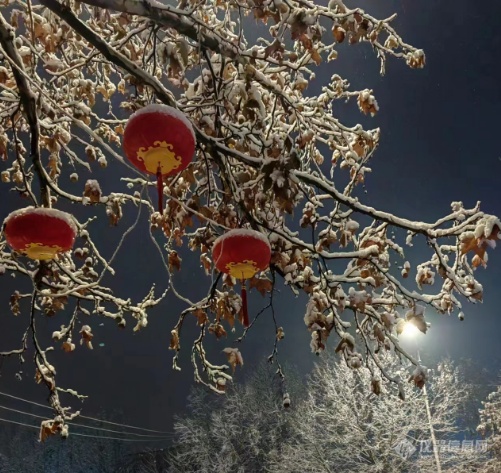 春节红灯笼与雪景最搭配